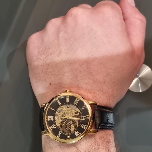 Forsining Luxury Mechanical Hand Wind Men's Watch - Picture 4 of 4